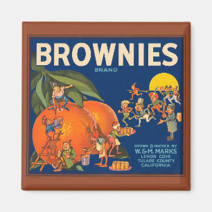 KRW brownies Oranje Fruitkratenlabel Magn Magneet
