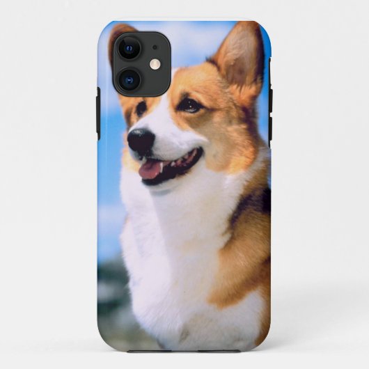 KRW Corgi Hond iPhone 5 Hoesje (Achterkant)