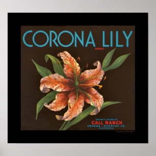 KRW Corona Lily Oranje Crate Label Poster
