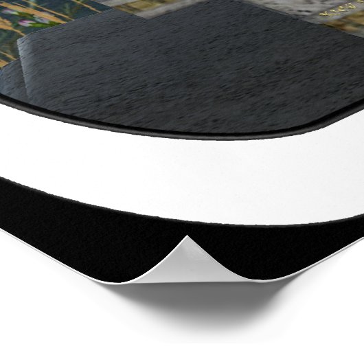 KRW de Empress Fairy Tarot Kaart Poster (Hoek)