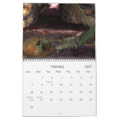 KRW Fantasy Calendar Kalender (Feb 2027)