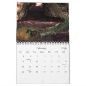 KRW Fantasy Calendar Kalender (Feb 2026)