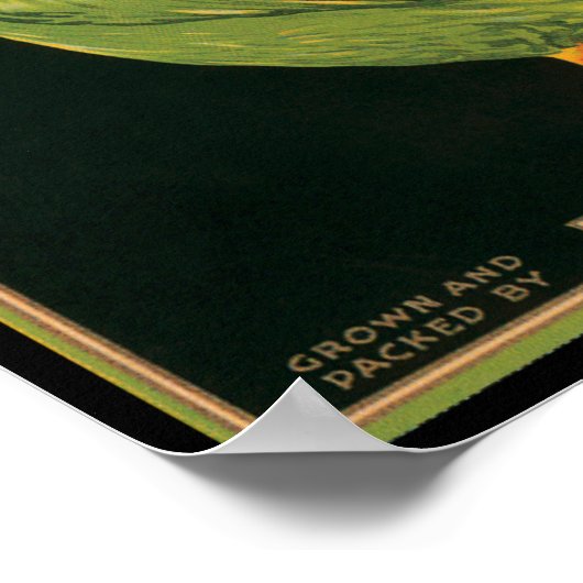 KRW  koningscode Pelican sla Poster (Hoek)