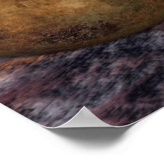 KRW moeder en kind Dragon Fantasy Poster (Hoek)