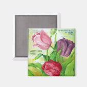 KRW Perry Bollen en Zaden 1912  Magneet (Voorkant / Achterkant)