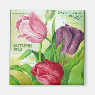 KRW Perry Bollen en Zaden 1912  Magneet