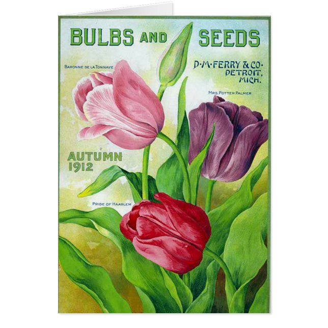 KRW  Perry Seed Catalog 1912-kaart (Voorkant)