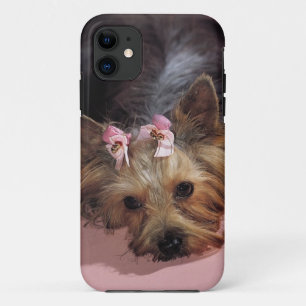 KRW Schattig Yorkie Dog iPhone 5 Hoesje