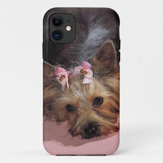 KRW Schattig Yorkie Dog iPhone 5 Hoesje (Achterkant)