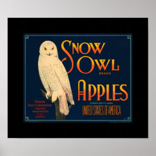 KRW sneeuwknollen Apple Fruit Crate Lable Poster