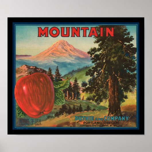 KRW Vintage Mountain Apples Fruit Crate Label Poster (Voorkant)