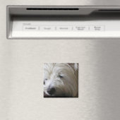 KRW Westie Magnet (Insitu (Vaatwasser))