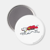 Krypto de hond magneet (Voorkant / Achterkant)