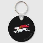 Krypto de hond sleutelhanger (Voorkant)