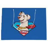 Krypto S-Shield Graphic Groot Cadeauzakje (Voorkant)