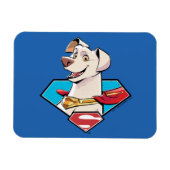 Krypto S-Shield Graphic Magneet (Horizontaal)