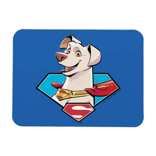 Krypto S-Shield Graphic Magneet (Horizontaal)