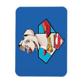 Krypto S-Shield Graphic Magneet (Verticaal)