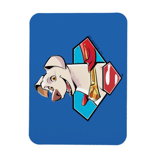 Krypto S-Shield Graphic Magneet (Verticaal)