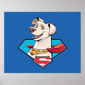 Krypto S-Shield Graphic Poster (Voorkant)
