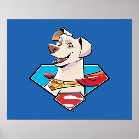 Krypto S-Shield Graphic Poster (Voorkant)
