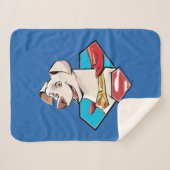 Krypto S-Shield Graphic Sherpa Deken (Voorkant (horizontaal))