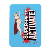 Krypto: Super-Pets activeren! Magneet (Verticaal)