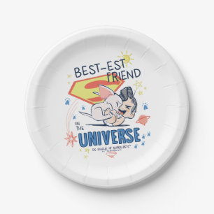 Krypto & Superman: Beste vriend in het universum Papieren Bordje