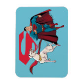 Krypto & Superman Magneet (Verticaal)