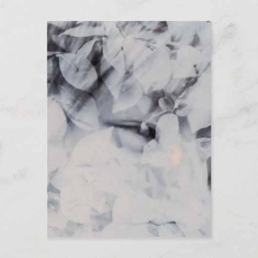 Krys Design Joy Briefkaart (Voorkant)
