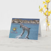 ksc_dolphin_, Curaçao Kinder Zee Camp Kaart (Gele Bloem)