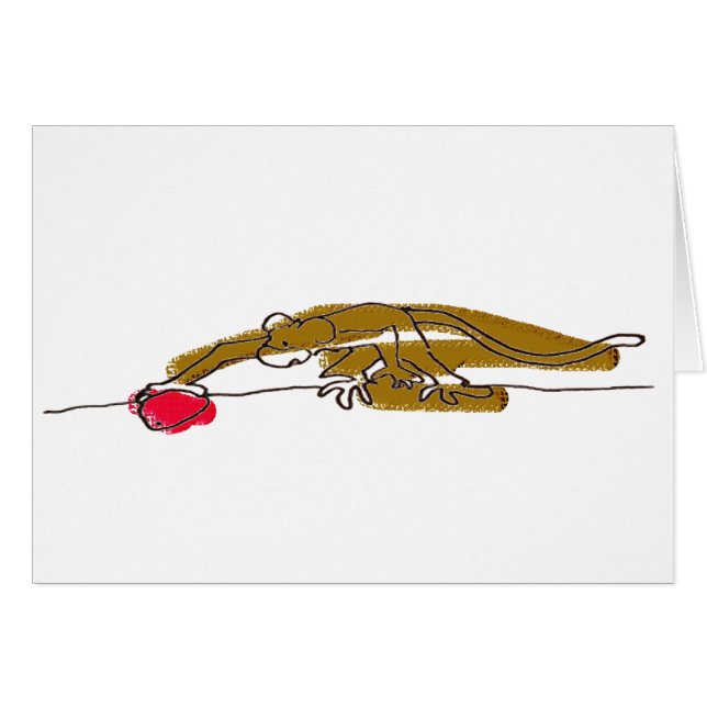 Kt' Tau poster book tour card 01 (Voorkant Horizontaal)