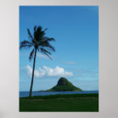 Kualoa 1 poster (Voorkant)