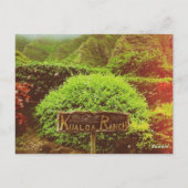 Kualoa Ranch Briefkaart (Achterkant)