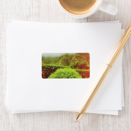 Kualoa Ranch Etiket (Insitu)