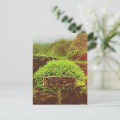 Kualoa Ranch Feestdagenkaart (Staand voorkant)