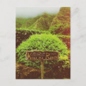 Kualoa Ranch Feestdagenkaart (Voorkant)