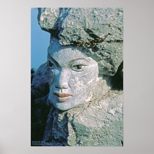 Kuan Yin van het Volk I/Poster Poster (Voorkant)