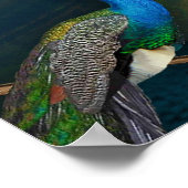 Kuan Yin Wall Tapestry Poster (Hoek)