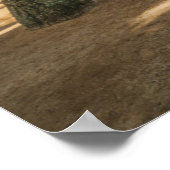 Kuau Cove Beach | Maui, Hawaii Poster (Hoek)