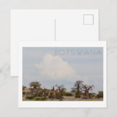 Kubu Island Baobab Tree Baobabs Botswana Scenery Briefkaart (Voorkant / Achterkant)
