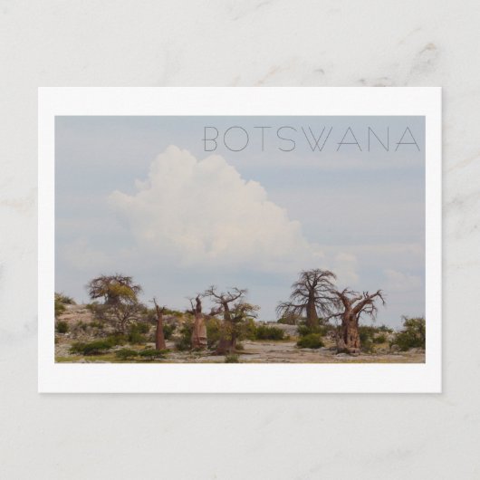 Kubu Island Baobab Tree Baobabs Botswana Scenery Briefkaart (Voorkant)