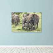 Kudde Afrikaanse Olifanten Canvas Afdruk (Insitu (Houten vloer))