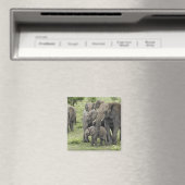 Kudde Afrikaanse Olifanten Magneet (Insitu (Vaatwasser))