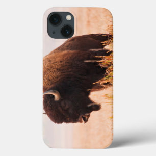 Kudde Amerikaanse Bizons (Bison Bison) In Teton 2 Case-Mate iPhone Case