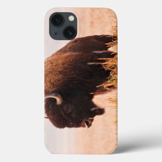 Kudde Amerikaanse Bizons (Bison Bison) In Teton 2 Case-Mate iPhone Case (Achterkant)