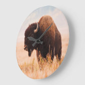 Kudde Amerikaanse Bizons (Bison Bison) In Teton 2 Grote Klok (Hoek)