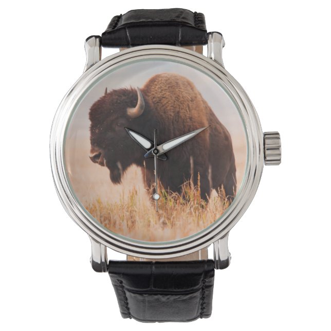 Kudde Amerikaanse Bizons (Bison Bison) In Teton 2 Horloge (Voorkant)