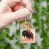 Kudde Amerikaanse Bizons (Bison Bison) In Teton 2 Sleutelhanger (Hand)