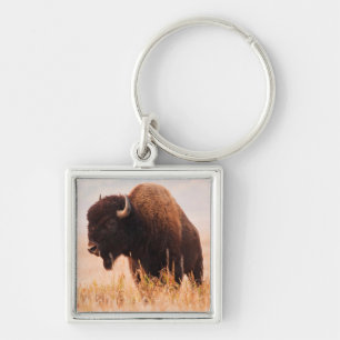 Kudde Amerikaanse Bizons (Bison Bison) In Teton 2 Sleutelhanger